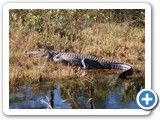 Okefenokee National Wildlife Refuge