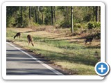 Okefenokee National Wildlife Refuge