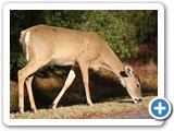 Okefenokee National Wildlife Refuge