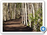 Okefenokee National Wildlife Refuge