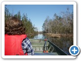 Boat ride - Okefenokee