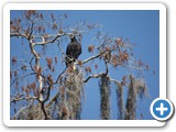 Okefenokee National Wildlife Refuge