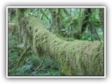 North Cascades Nation Park