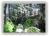 North Cascades Nation Park