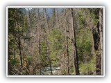 North Cascades Nation Park