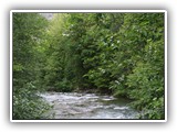 Newhalem Creek