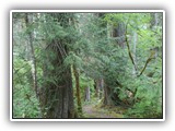 North Cascades Nation Park