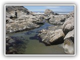 Kalaloch Beach